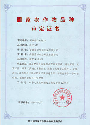 03_兩優(yōu)619審定證書.jpg
