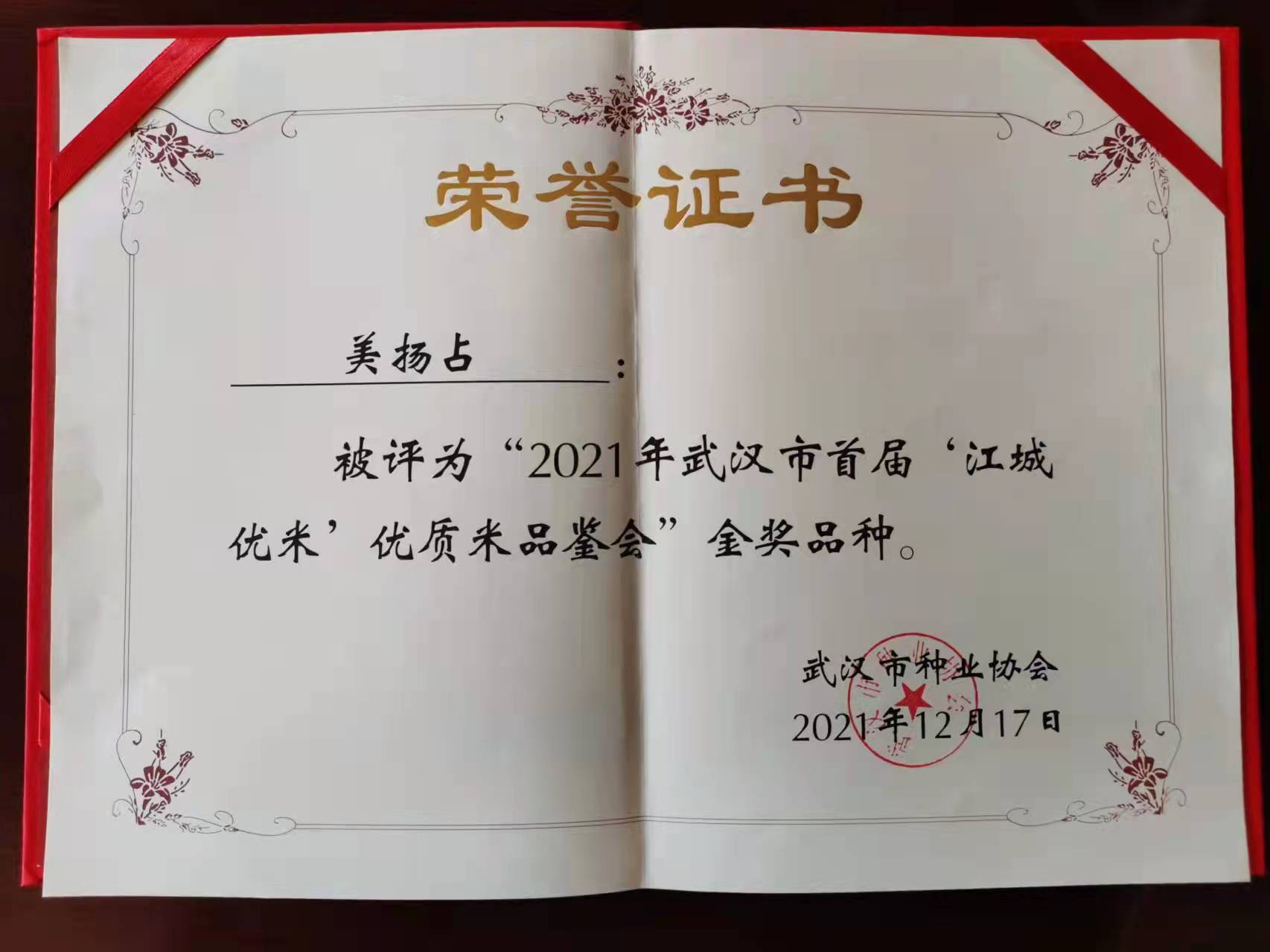 美揚(yáng)占榮譽(yù)證書.jpg